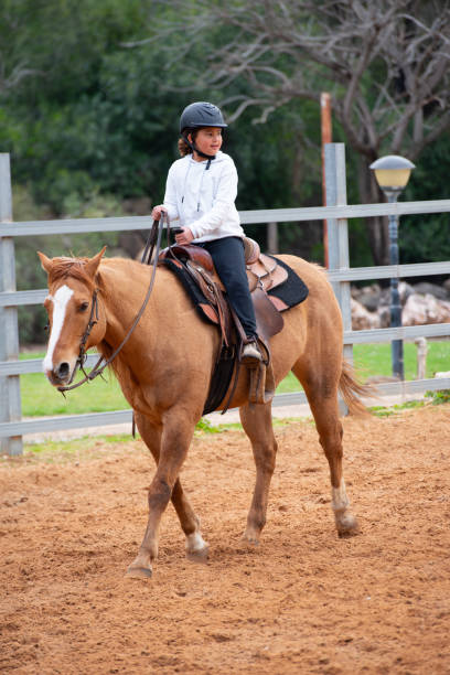 Cute little girl riding a horse. Child in a safe helmet for horseback class.