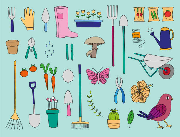 Gardening Tools and Plants Fully editable (including strokes) vector collection of gardening tools and plants trowel gardening shovel gardening equipment stock illustrations