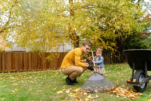 A dad squats next to his toddler daughter and helps her rake leaves into a pile while doing household chores outdoors together on a cool Autumn day.