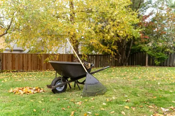 Photo of Pile of leaves next to rake and wheelbarrow in residential backyard