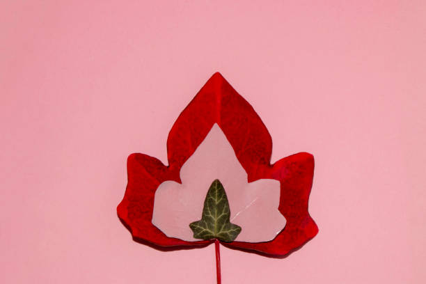 istock red leaf in it pink leaf in it green creative art natural concept on pink background copy space 1385111826