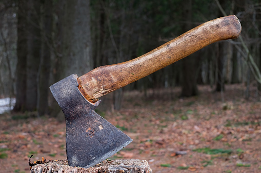 An old axe stuck in a stump against the background of the forest