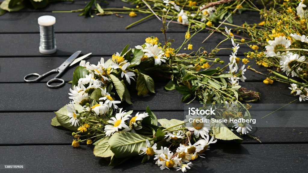 Creating flower crown for Midsummer Eve in Sweden Traditional Swedish Midsummer flower crown, made with wild summer and by using wire and scissor. Floral Crown Stock Photo