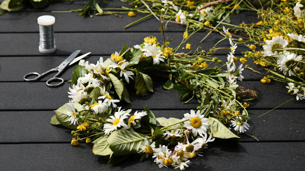 creating flower crown for midsummer eve in sweden - coroa de flores imagens e fotografias de stock
