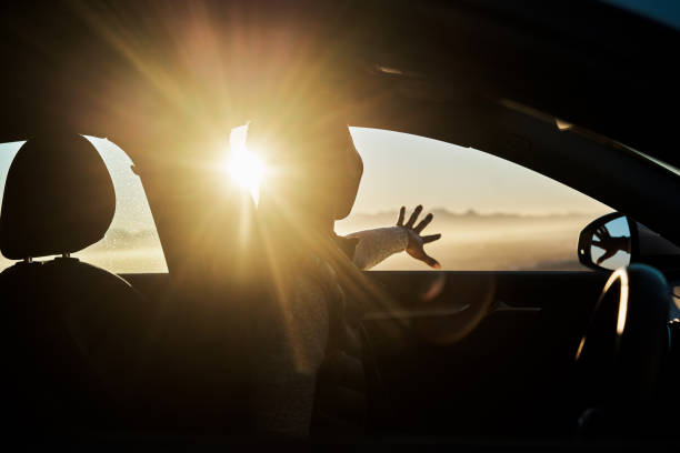 shot of a young woman sticking her hand out of the car window on a road trip - flare black imagens e fotografias de stock