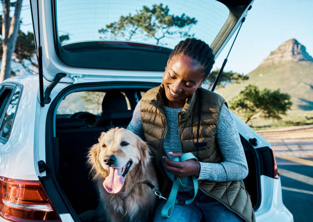 scatto di una giovane donna che va in viaggio con il proprio cane - dog car travel pets foto e immagini stock