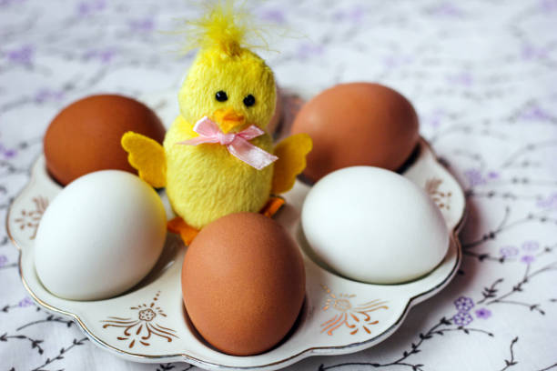 White and brown eggs and a toy chicken a special plate. Preparation for Easter. Diet and Healthy eating.