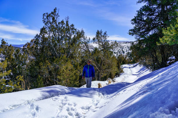 istock Man Walking Dogs Hiking Outdoors in Snow 1385119650