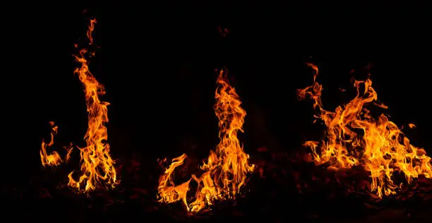 Photo of Panorama Fire flames on black background.global warming concept.Abstract background  sparks, dark glitter, light particles, light. Bonfire in motion blur.