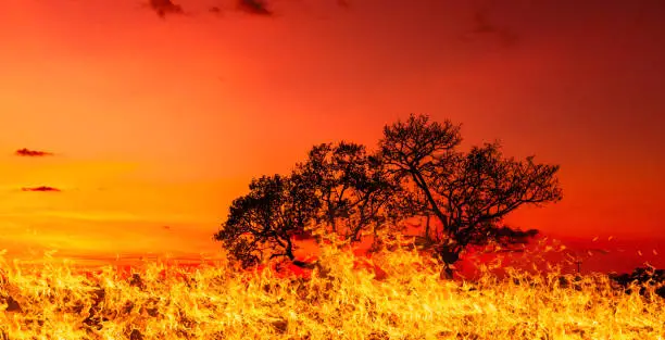 Photo of Panorama Fire flames on black background.global warming concept.Abstract background  sparks, dark glitter, light particles, light. Bonfire in motion blur.