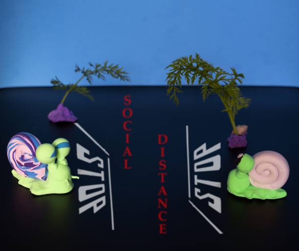 koncepcyjne zdjęcie dystansu społecznego. dwa ślimaki stoją na znaku stop na ziemi na tle zielonych roślin i niebieskiego koloru. w centrum można przeczytać słowa dystans społeczny w języku angielskim - englis zdjęcia i obrazy z banku zdjęć