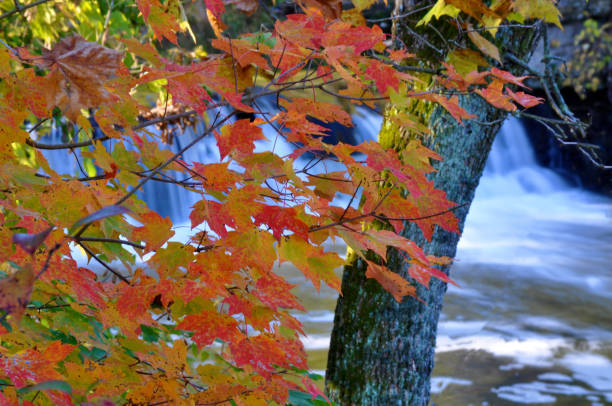 istock Pipe Creek, Cass County, Indiana 1385126771