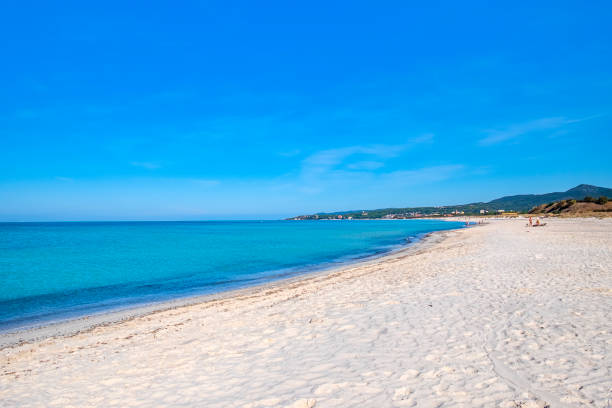 plage blanche de rosignano solvay (toscane, italie) - ligurian sea photos et images de collection