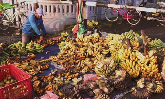 Bananas can also be processed into snacks, drinks, and delicious snacks such as cakes. How to make a cake made from bananas is very easy, including for beginners. Banana seller in Sidoarjo traditional market, East Java, Indonesia