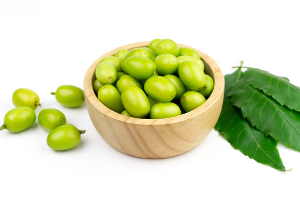 istock Neem fruit is an excellent moisturizing and contains various compounds that have insecticidal and medicinal properties. 1385139451