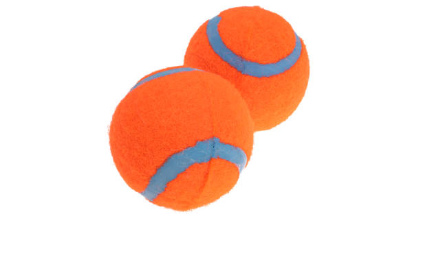 istock tennis ball for dogs isolated 1385144045