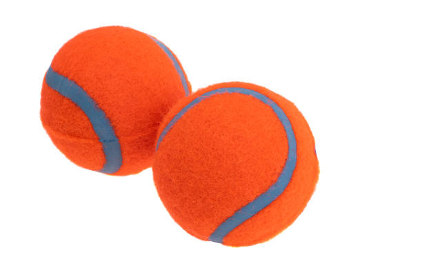 istock tennis ball for dogs isolated 1385144063
