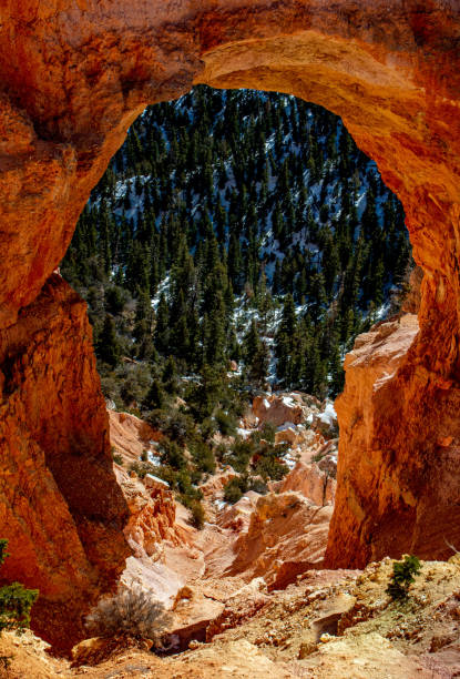 istock Natural Bridge at Bryce Canyon National Park 1385144609