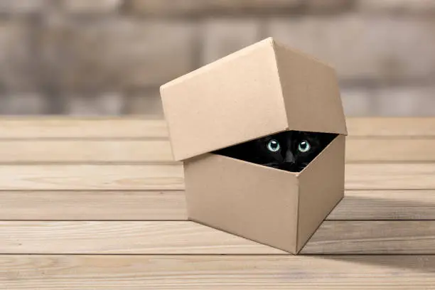 A cat is hiding inside a cardboard box. The eyes of the cat are looking at the camera out of a gap under the lid.