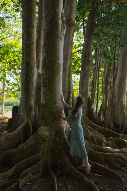 istock Female hiker admires trees in lush, tropical rainforest 1385154196
