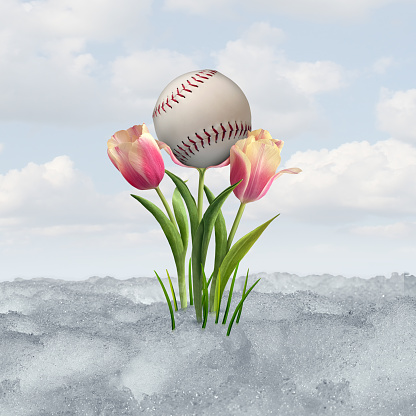Spring baseball symbol as a ball sport concept with a tulip bloom as a symbol of thawing melting snow after winter weather with tulips as a springtime game concept with 3D illustration elements.
