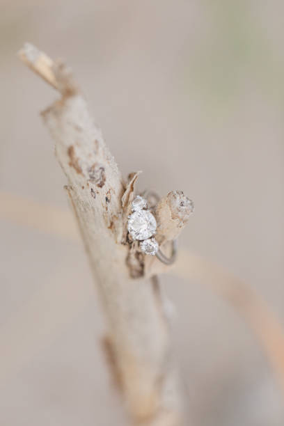 Diamond Engagement Ring on a Wooden Stick in Bright Natural Light