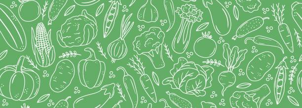 ilustraciones, imágenes clip art, dibujos animados e iconos de stock de banner sin fisuras con iconos vegetales de contorno - recetas faciles para cocinar