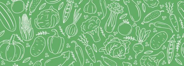 Seamless banner with outline vegetable icons Seamless banner with outline vegetable icons. Background with hand drawn drawings of carrot, cabbage, broccoli, corn, pumpkin. Sketch food pattern. Doodle silhouettes of harvest elements raw diet stock illustrations