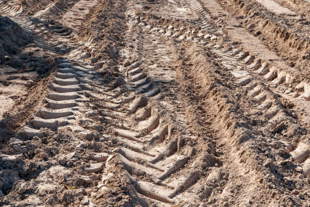 Vehicle and tractor tire tread imprints on sand.