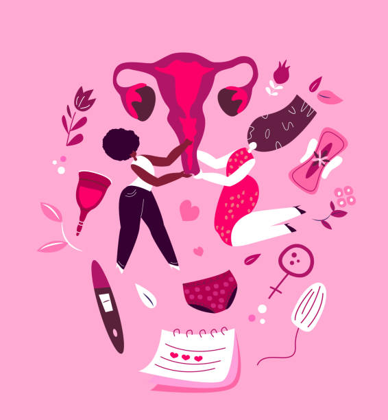 illustrations, cliparts, dessins animés et icônes de féminisme concept de menstruation. beauté différentes filles tiennent l’utérus utérus.ovaires féminins.symbole du vagin,période féminine avec sang menstruel,culotte,serviette hygiénique,tampon,tasse réutilisable. illustrations vectorielles plat - renaissance period