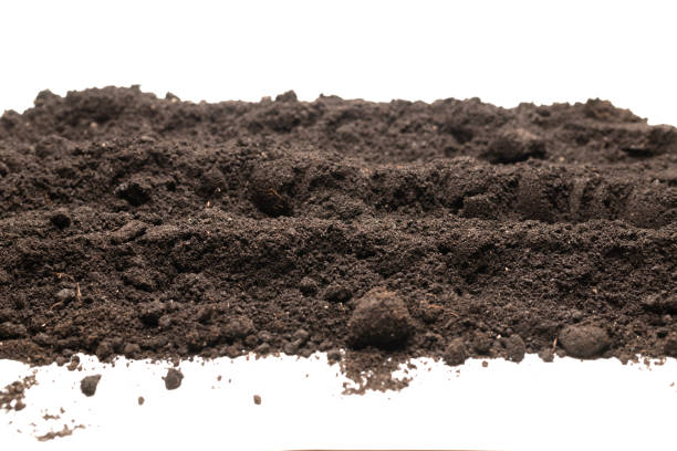 istock Black land for plant isolated on white background. 1385169591