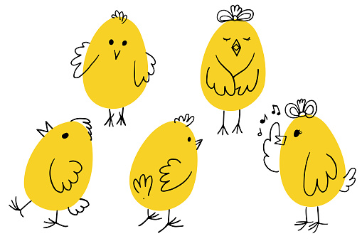 Cute hand drawn chicken set. Funny yellow doodle chickens in different poses for Easter designs. Vector simple illustration on white background.