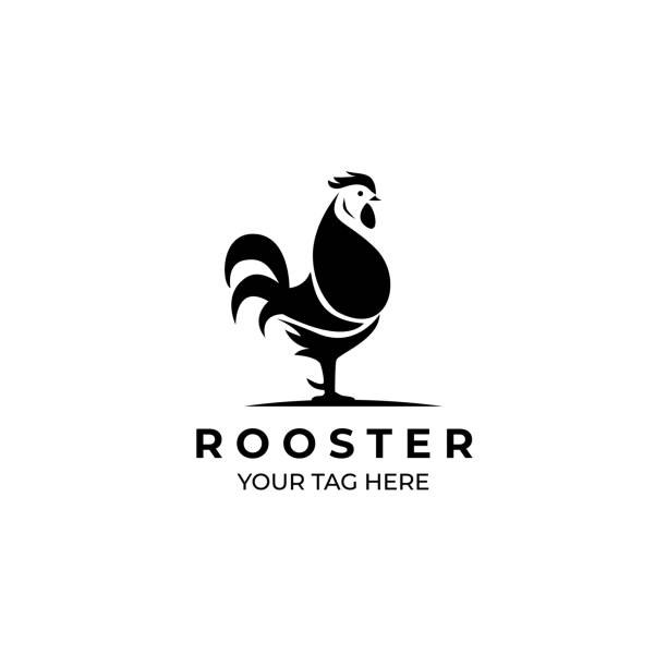 ilustracja logo koguta czarny kolor - chicken domestic animals bird poultry stock illustrations