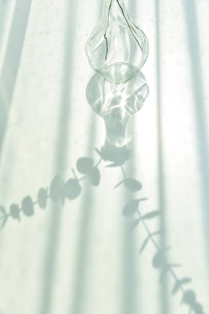 istock Glassware reflect sunlight shadow effect, Summer still life scene, Transparent glittering glasses of water, Warm light vibe in sunny day. 1385170656