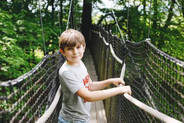 Preteen kid boy walking on high tree-canopy trail with wooden walkway and ropeways on Hoherodskopf in Germany. Happy active young child exploring treetop path. Funny activity for families outdoors.