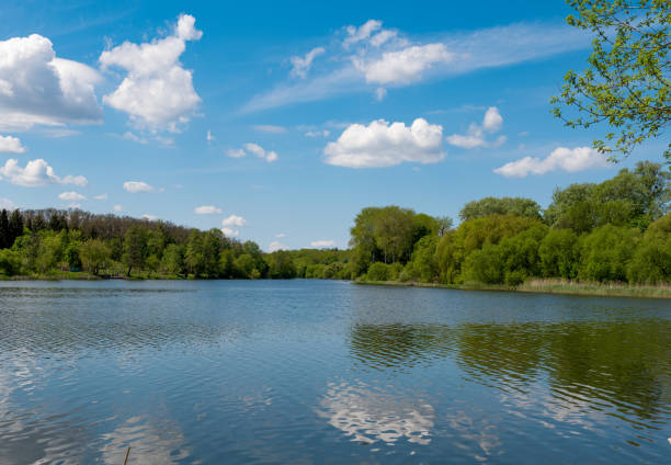 istock beautiful scenery in spring in the park 1385175219