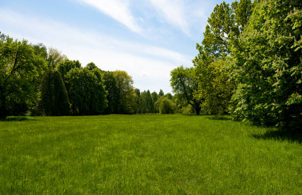 istock beautiful scenery in spring in the park 1385175264