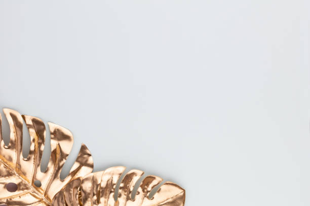 istock Monstera gold leaf on blue background. Palm leaf, Flat lay and top view. 1385176654