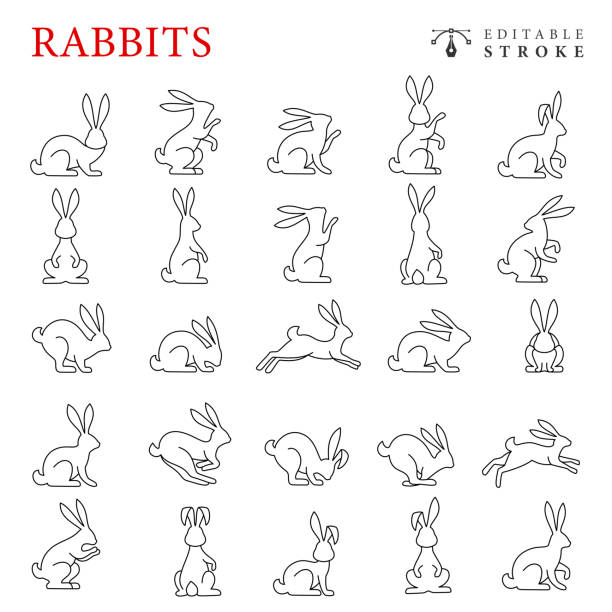 illustrations, cliparts, dessins animés et icônes de jeu d’icônes de ligne de lapins. contour modifiable. - lapin
