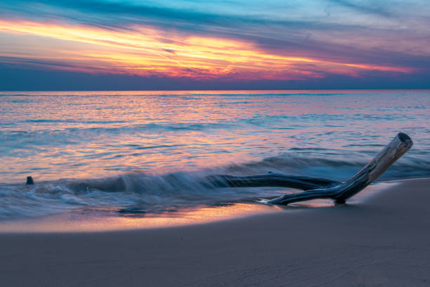 Driftwood on the beach along Lake Michigan with a sunset in the background.  Taken from the beach in Michigan.