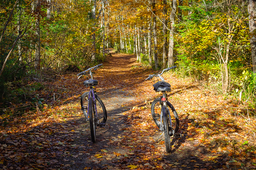 Two bikes on path in the woods during autumn.  Taken on Mackinac Island in Michigan.