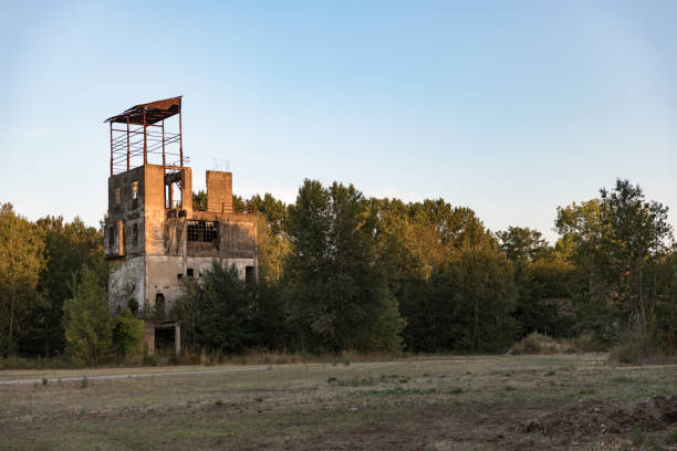 Old Run-down building in the middle of forest