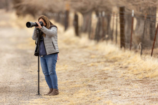 frau, die fotos von wildtieren macht - einbeinstativ stock-fotos und bilder