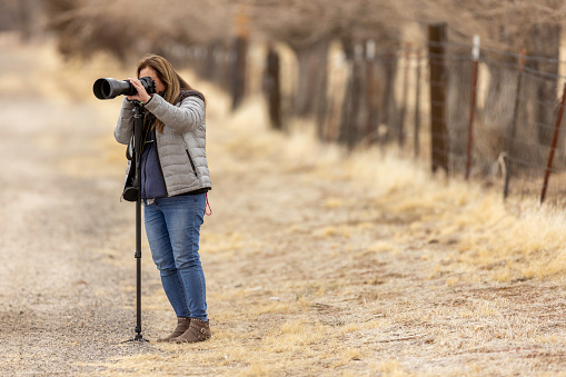 High quality stock photos of a woman shooting photos of wildlife in rural Nevada