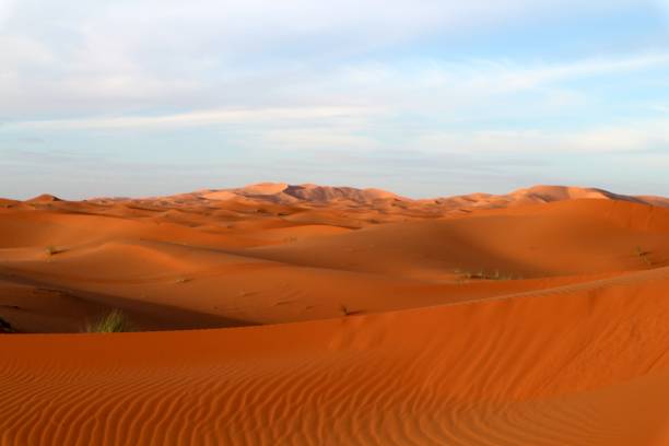 日没、ゴールデンアワー、影、エルグチェビ、砂丘、サハラ砂漠、砂漠、モロッコ、旅行、秋、秋、ロードトリップ、砂丘、砂丘、風景、砂丘、自然、空、乾燥、旅行、砂丘、丘、暑い、冒� - desert landscape morocco sand dune ストックフォトと画像