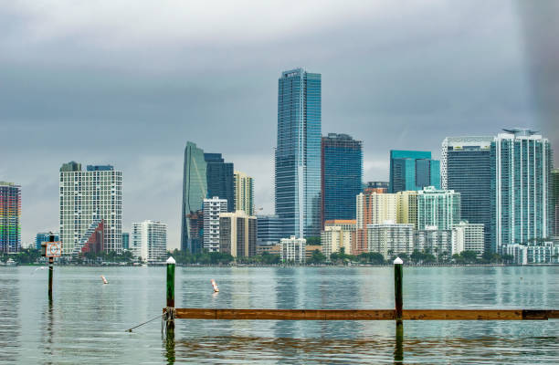 istock Downtown Miami skyscrapers and skyline on a cloudy day. 1385194609