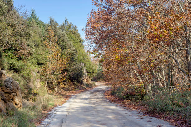 istock A narrow, rural road in the mountains 1385194613