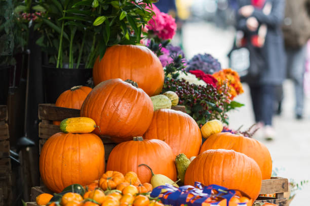 Pumpkins on display for sale in London