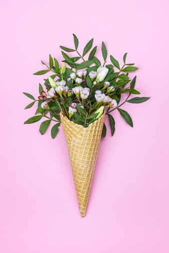 Spring flowers in the waffle cone on pink background. Creative idea. Focus picked