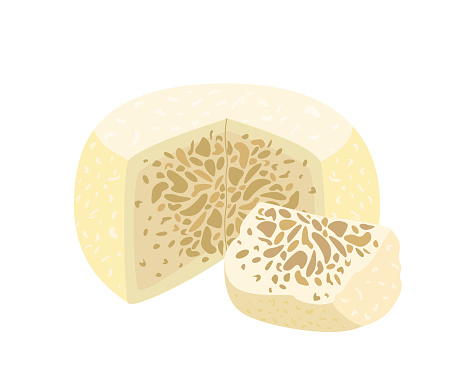 Exotic Sakartvelo Sheep cheese Guda with specific smell.Gourmet cheese with holes and bubbles.Cut piece of delicious soft chees.Flat vector illustration of delicatessen food isolated, white background